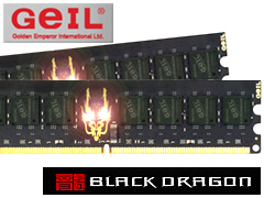 GB24GB8500C5DC (DDR2 PC2-8500 2GB 2枚組)