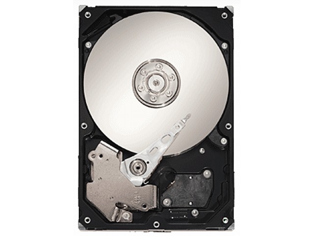 ST3802110ACE [80GB U100 7200]