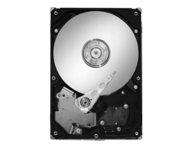 Seagate ST3300831ACE PATA 300GB