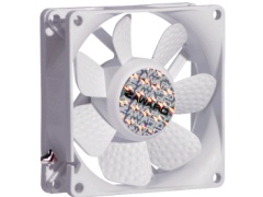 ZGF80WH(��)