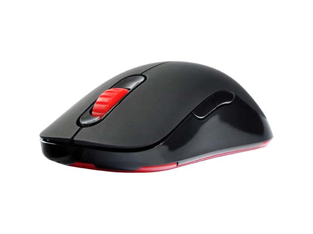 ZOWIE GEAR AM-GS BLACK