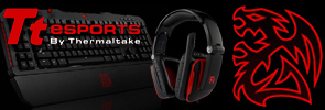 �����˹Ԥ��ʤ�Tt eSPORTS�����ߥ󥰥�����