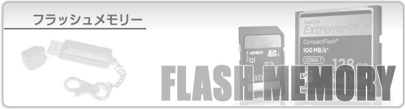 FLASH MEMORY