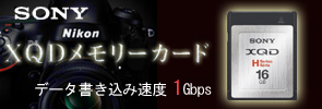SONY MS Pro-HG���꡼��