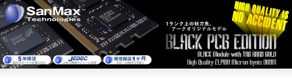 High-Quality SanMax Memory Module