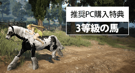 購入特典 3等級の馬