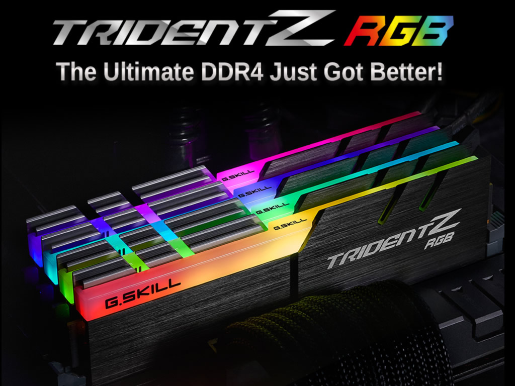 G.Skill F4-3200C16D-16GTZR Trident Z RGB 288pin DDR4-3200 CL16-18-18  16GB(8GBx2枚組)SET 1.35Volt XMP2.0 - 製品詳細 | パソコンSHOPアーク（ark）