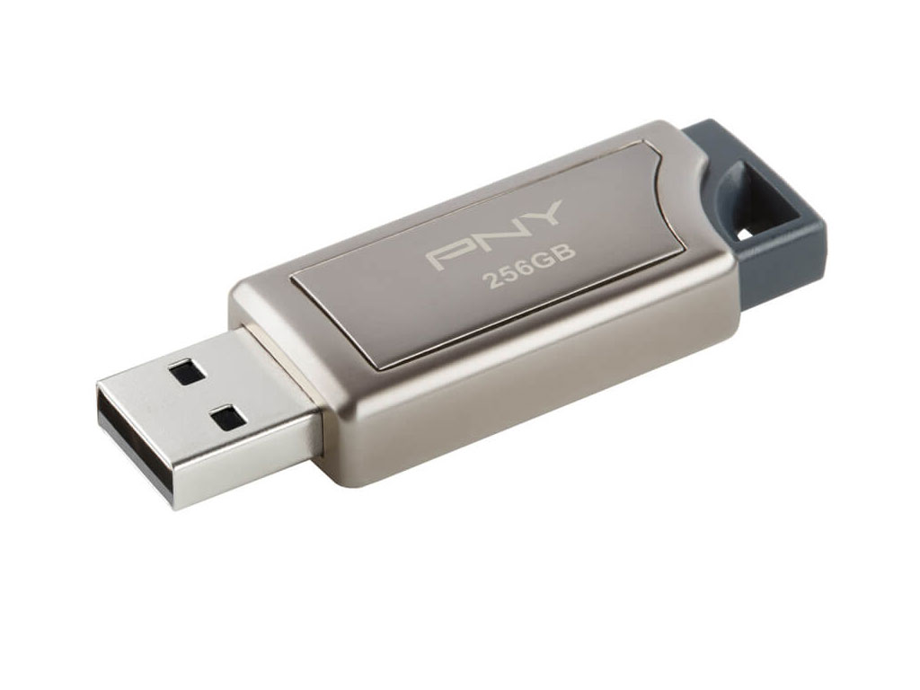 PRO Elite P-FD256PRO-GE [256GB]