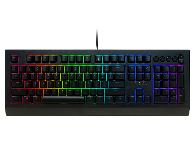 Razer Cynosa V2　5,980円 さらにクーポン 英語キーボード 送料無料 【arkアーク】