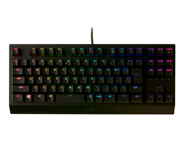 Razer Black Widow V3 tenkeyless 美品 緑軸 US