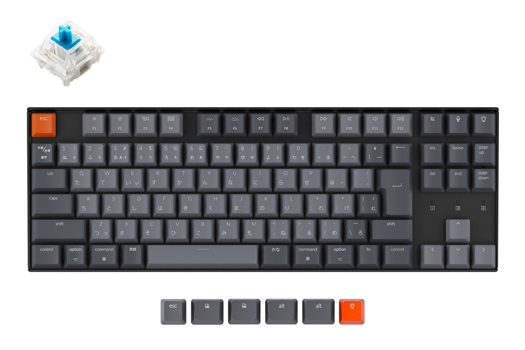 Keychron K1 赤軸 日本語配列 RGB | www.aimeeferre.com Keychron K1 赤軸 日本語配列 RGB | www.aimeeferre.com