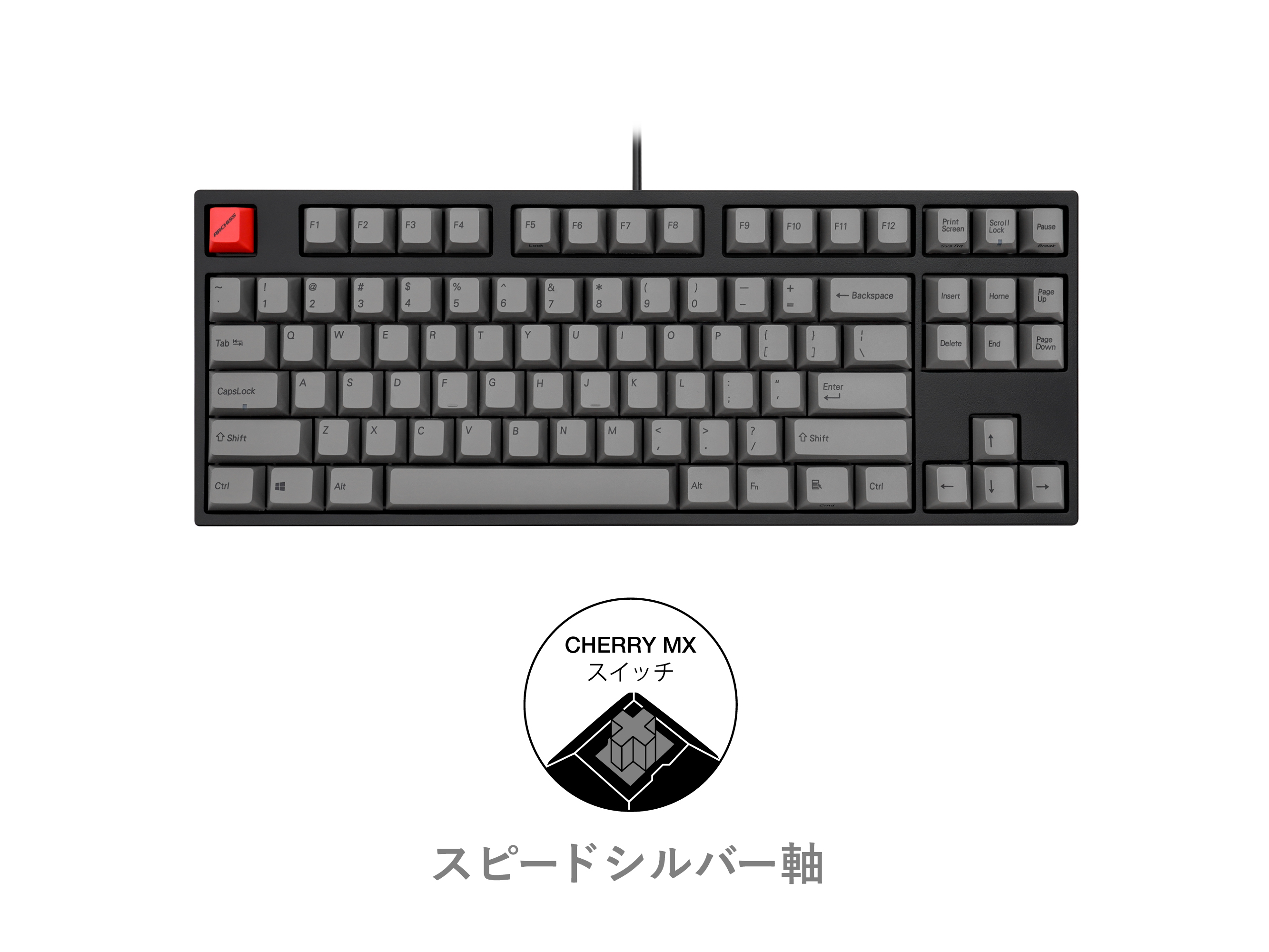 Archiss Archiss Maestro Tkl メカニカル テンキーレスキーボード 英語 Us Ansi 配列 黒ボディ グレーキーキャップ モデル Cherry Mx スピードシルバー軸 製品詳細 パソコンshopアーク Ark