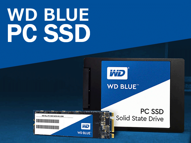 WD社デジタルストレージへの本格参入第一弾、コンシューマー向けSSD