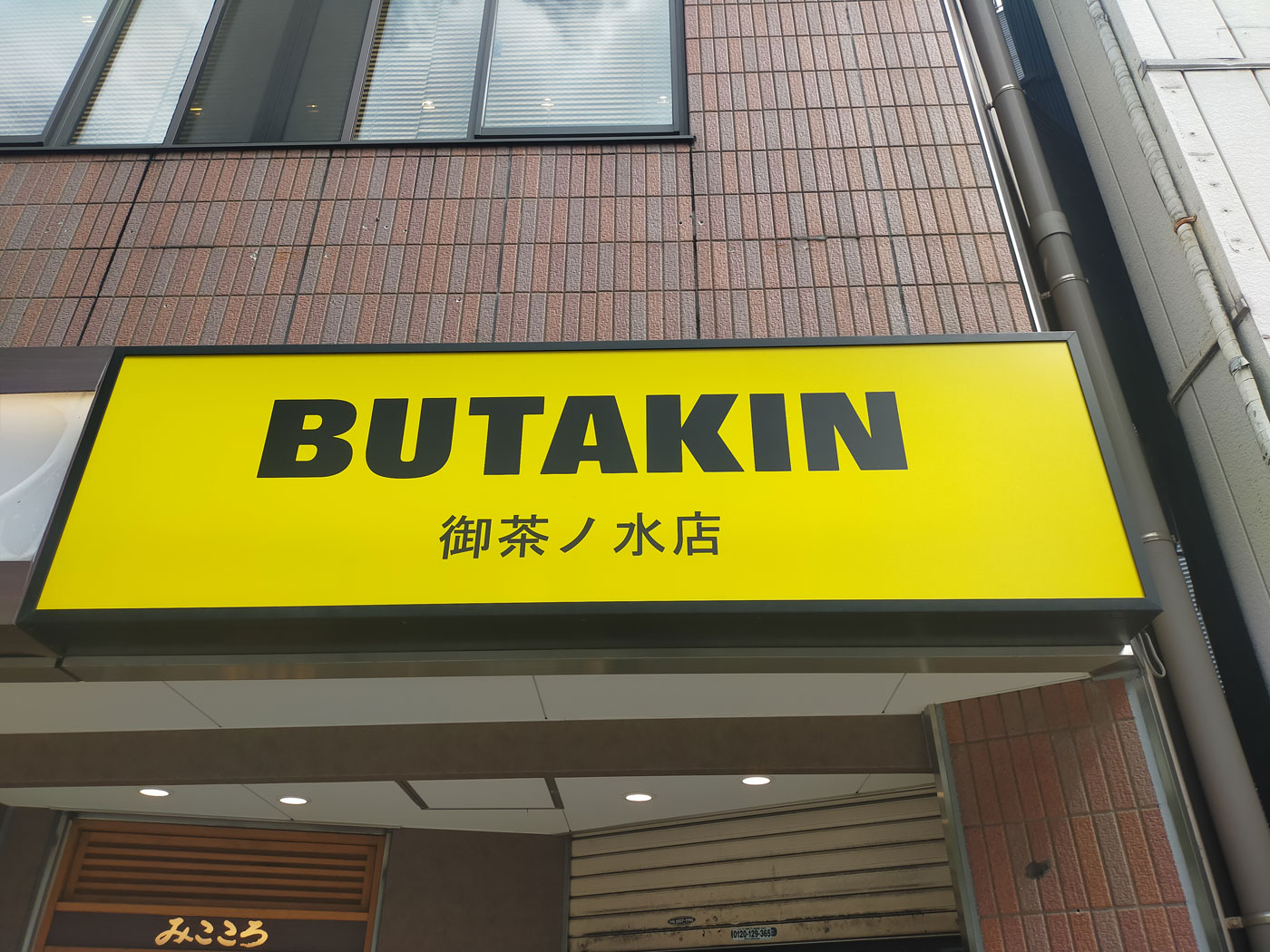 アキ 貴重 ウミアメンボ 標本 2匹 アキ 貴重 ウミアメンボ 標本 2匹