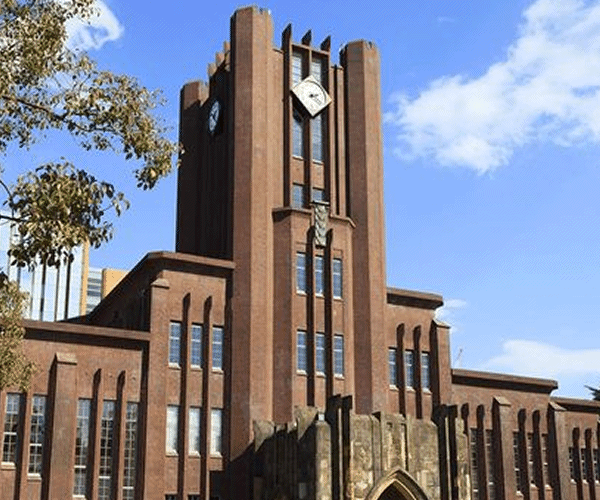 東京大学